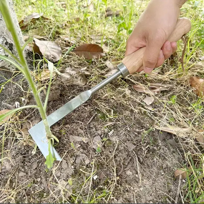 Crack Weeder Tool