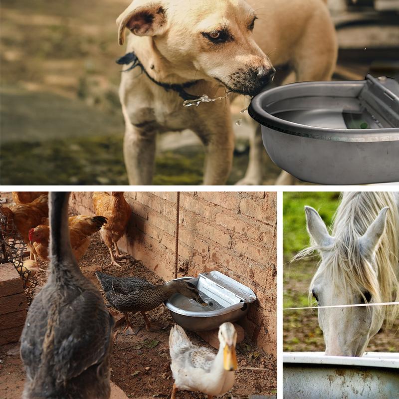 Automatic Outdoor Dog Water Bowl