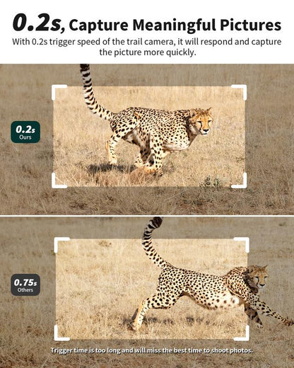 4G Outdoor Solar Camera