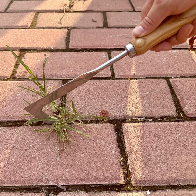 Crack Weeder Tool
