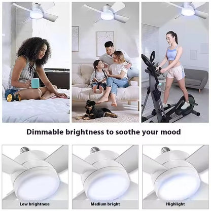 Socket Fan